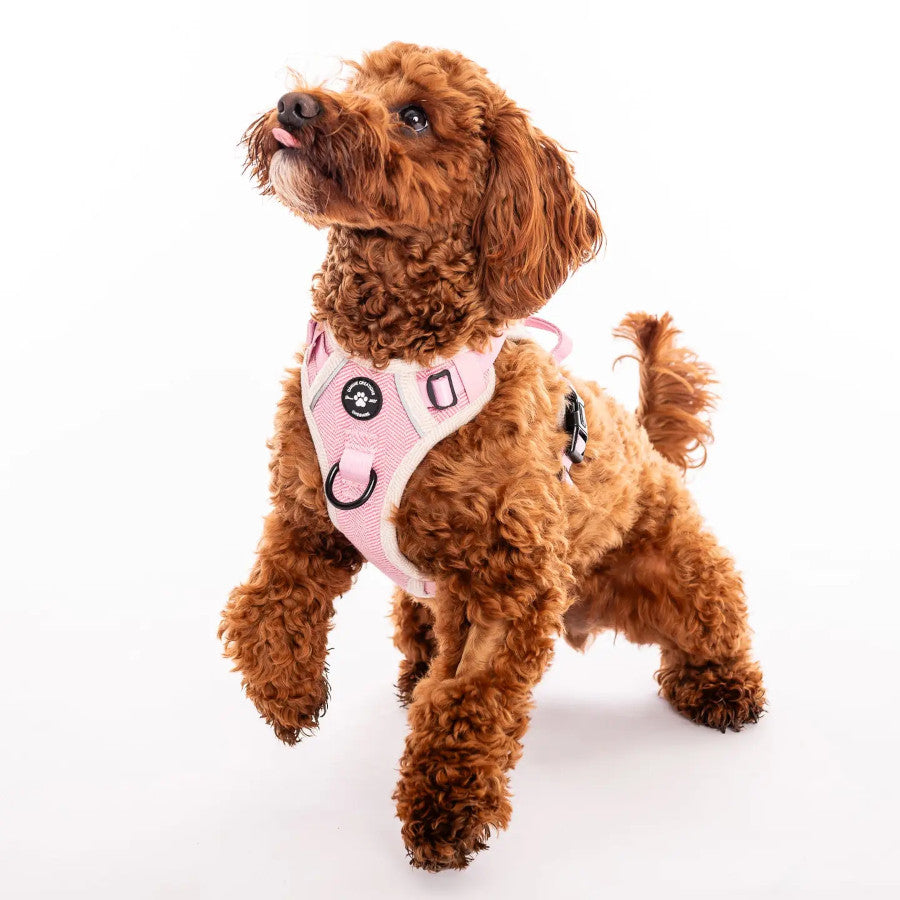 Pink Herringbone Harness