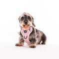 Load image into Gallery viewer, Pink Herringbone Harness
