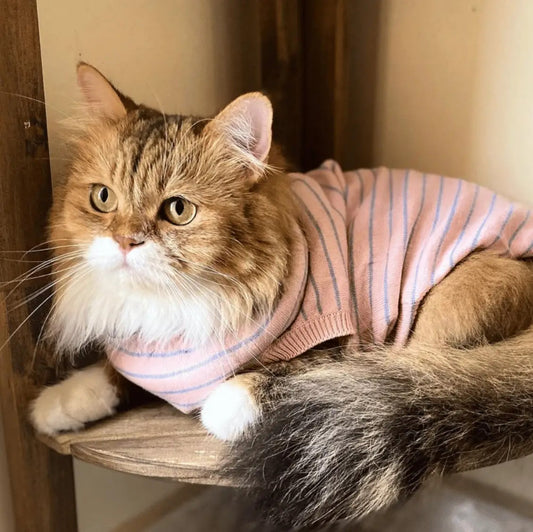Pink Striped Cat Jumper