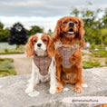Load image into Gallery viewer, Plaid Adjustable Neck Harness
