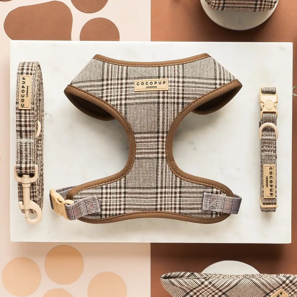 Plaid Adjustable Neck Harness