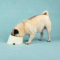 Load image into Gallery viewer, Icon Flat Faced Dog Bowl Cream
