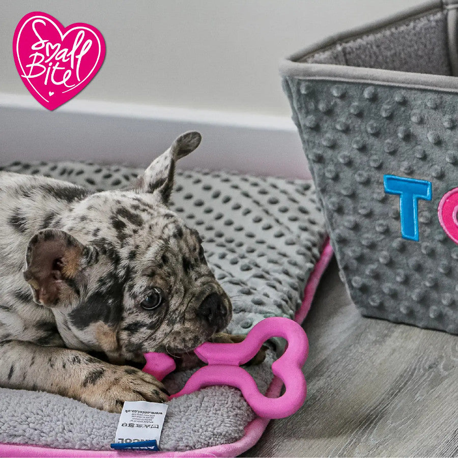 Soft Bone Teething Toy