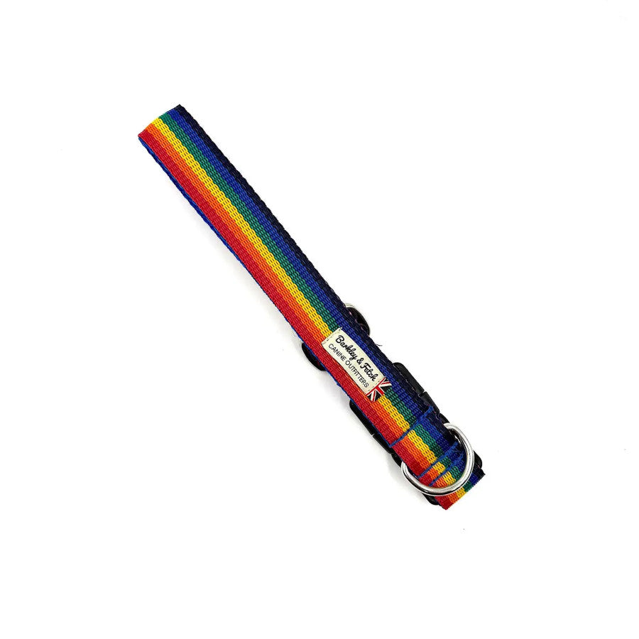 Rainbow Webbing Dog Collar