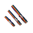 Load image into Gallery viewer, Rainbow Webbing Dog Collar
