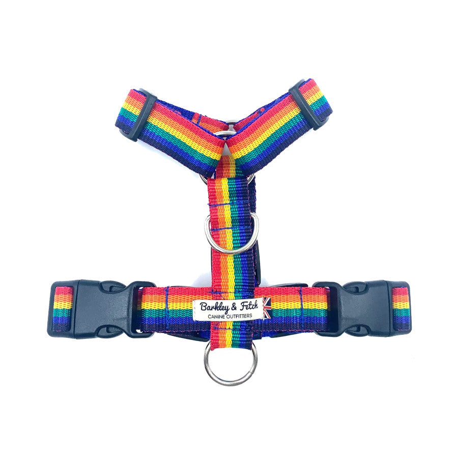 Rainbow Webbing Harness