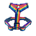 Load image into Gallery viewer, Rainbow Webbing Harness
