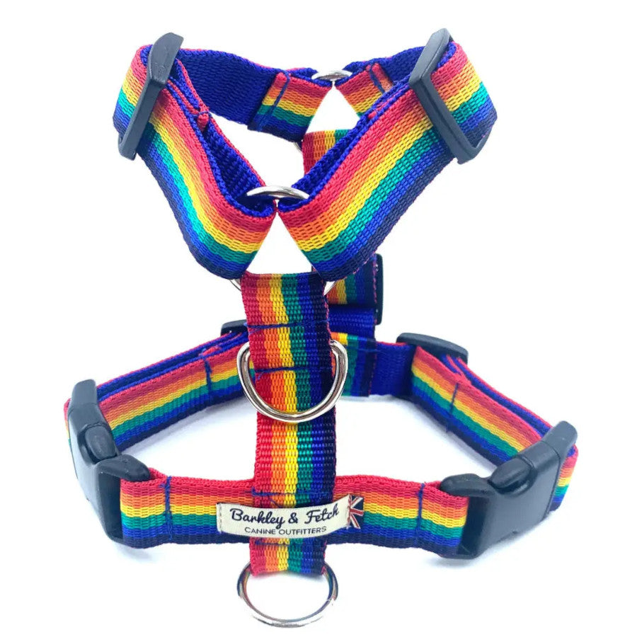 Rainbow Webbing Harness