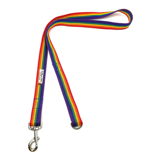Rainbow Webbing Dog Lead