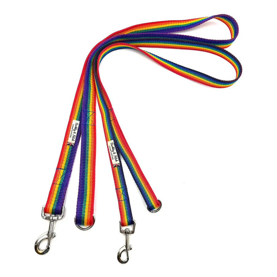 Rainbow Webbing Dog Lead