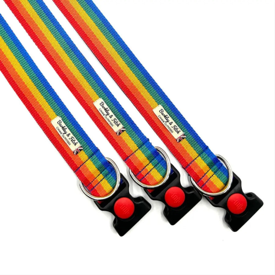Rainbow Webbing Wide Dog Collar