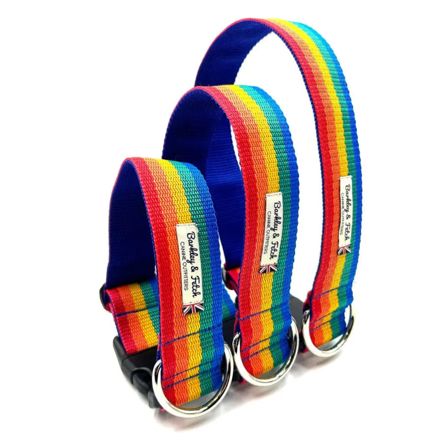 Rainbow Webbing Wide Dog Collar