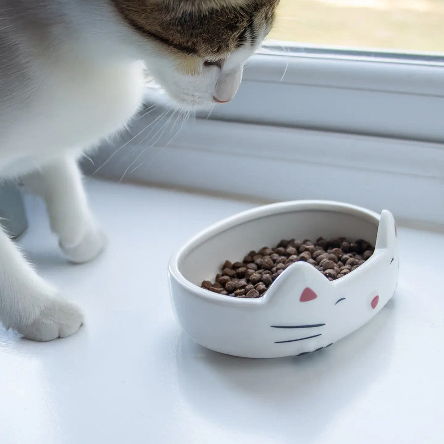 Raised Cat Ear Dish