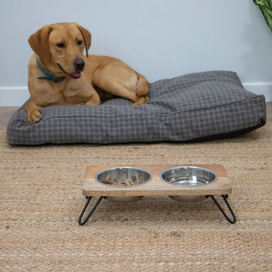 Raised Feeding Bowl