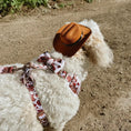 Load image into Gallery viewer, Rodeo Pup Dog Hat
