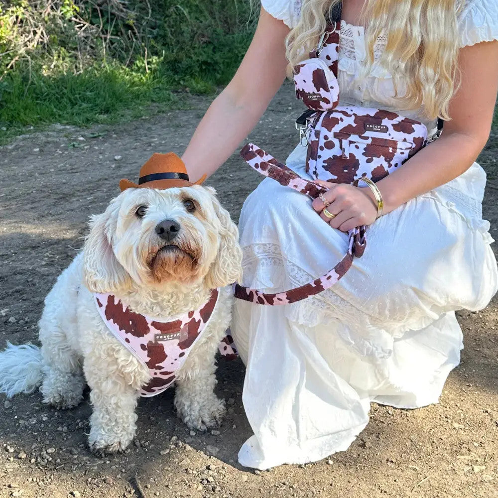 Rodeo Pup Dog Hat