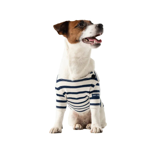 Dog Breton Shirt Toutounière