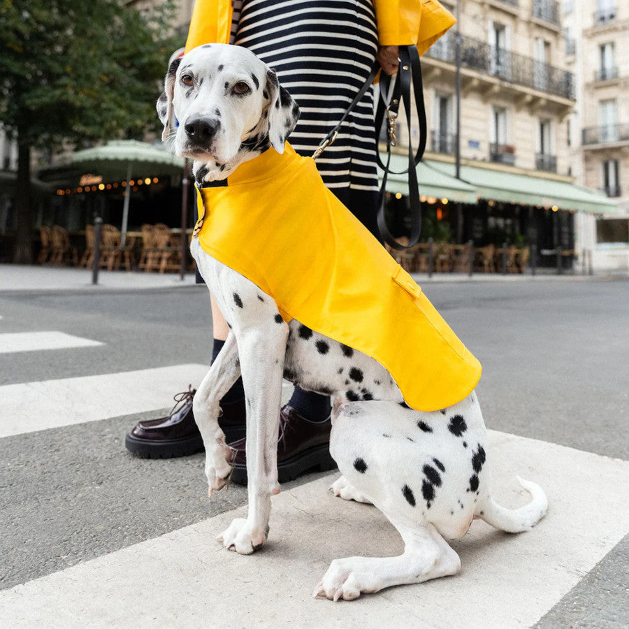 Dog Raincoat Toutouciré