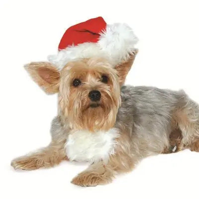 Santa Hat for Dogs