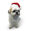 Load image into Gallery viewer, Santa Hat for Dogs
