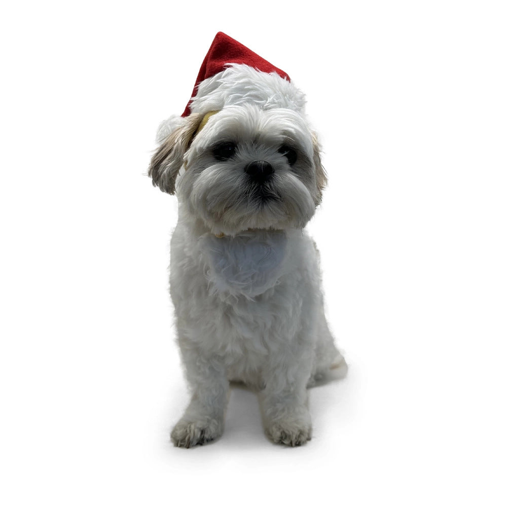 Santa Hat for Dogs