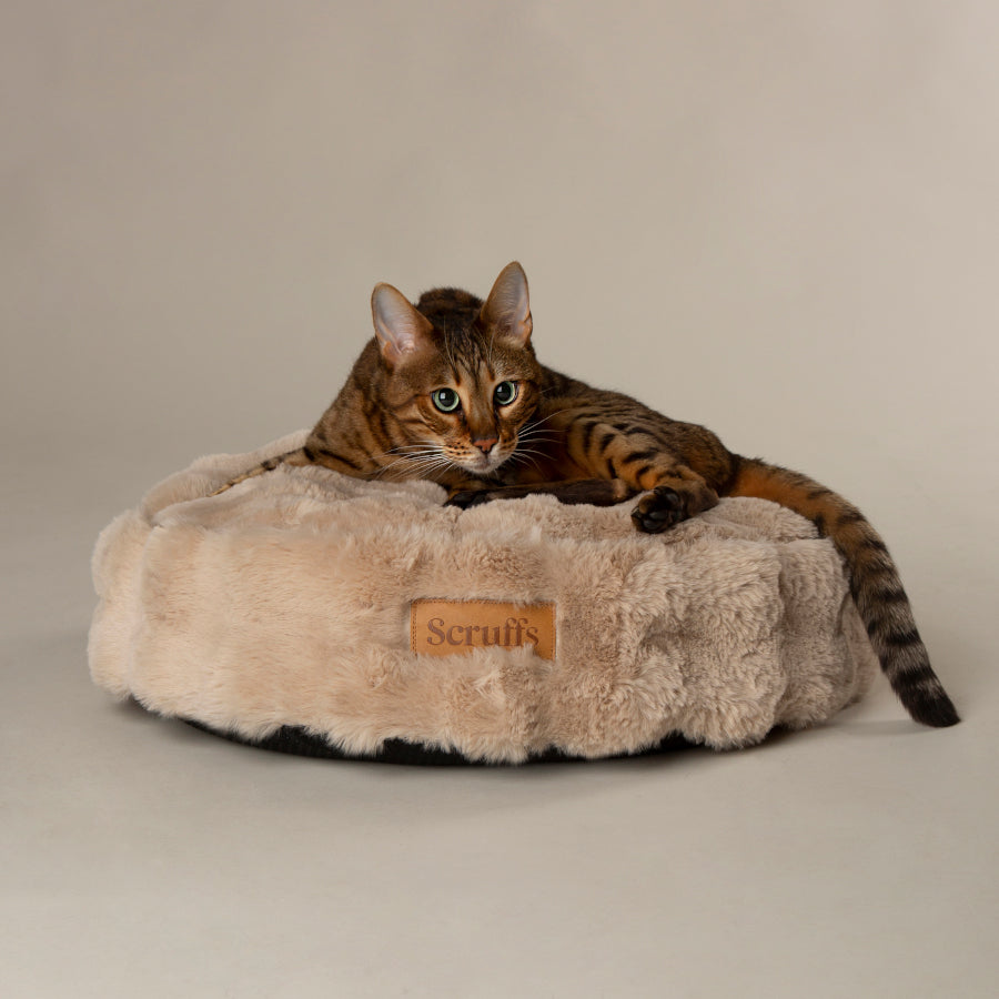 Alpine Pet Cushion