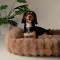 Load image into Gallery viewer, Alpine Box Bed Taupe
