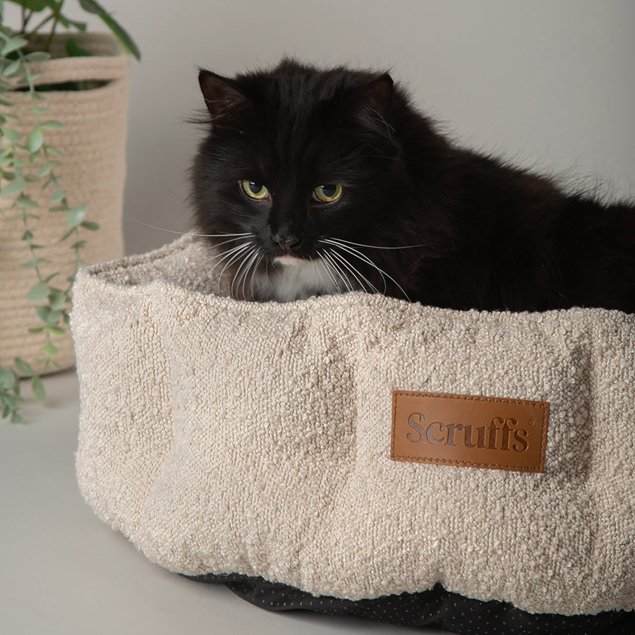 Boucle Cat & Small Dog Bed Ivory