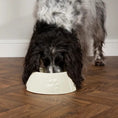 Load image into Gallery viewer, Icon Long Eared Dog Bowl Cream
