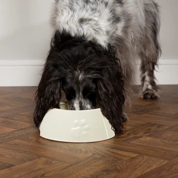 Icon Long Eared Dog Bowl Cream