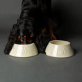 Load image into Gallery viewer, Icon Long Eared Dog Bowl Cream
