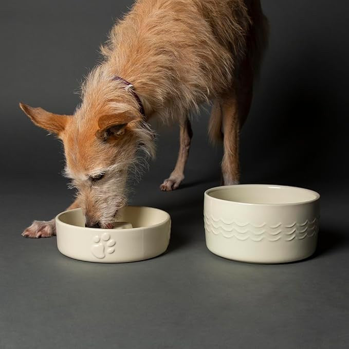 Icon Slow Feeder Dog Bowl Cream