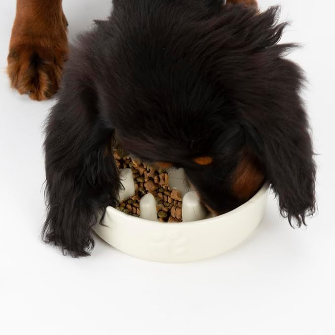Icon Slow Feeder Dog Bowl Cream