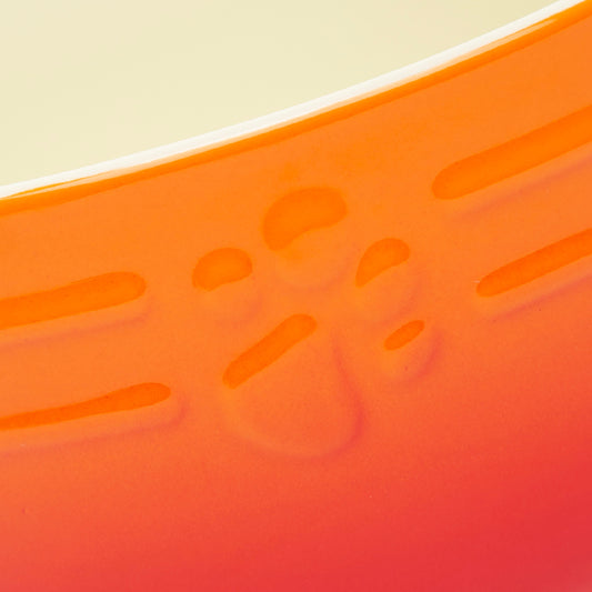 Ombre Food Bowl Orange