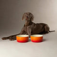 Load image into Gallery viewer, Ombre Food Bowl Orange
