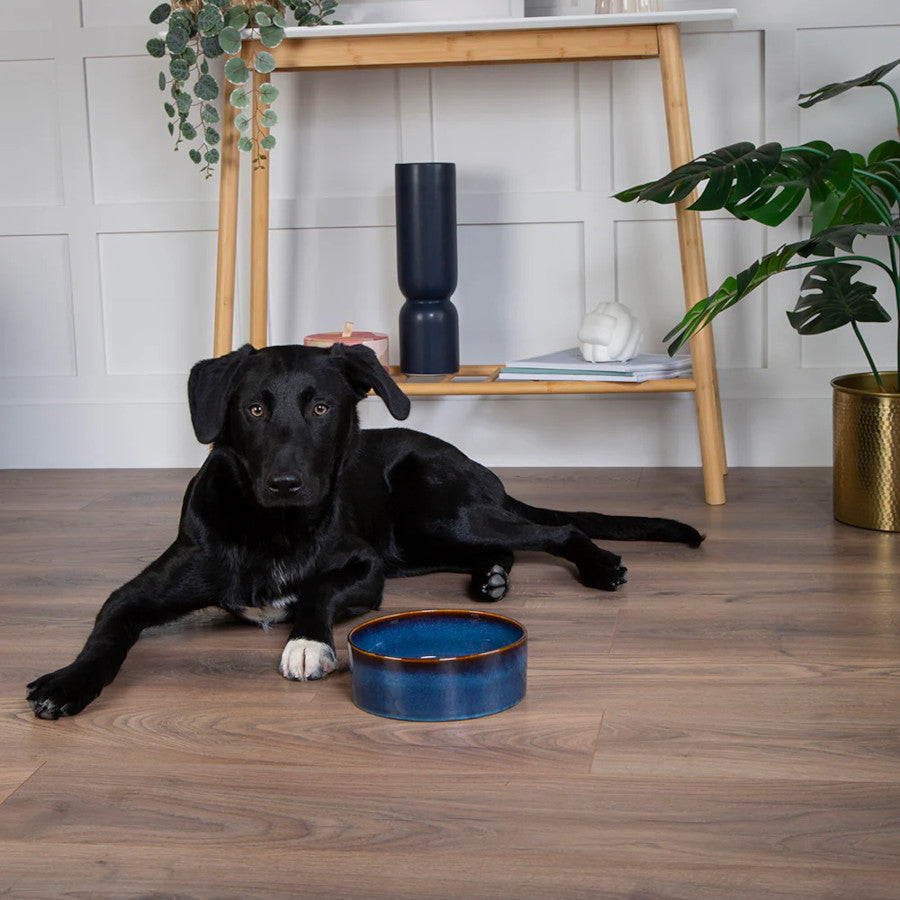 Reactive Glaze Pet Bowl Midnight Blue