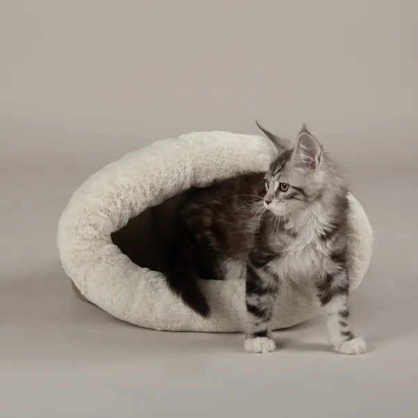 Seattle Crinkle Cat Sleeping Bag