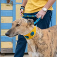 Load image into Gallery viewer, Shuka Blue Hound Collar
