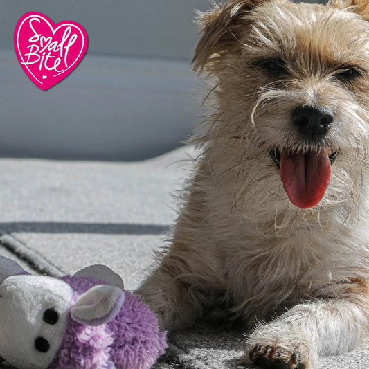 Small Bite Plush Lamb Puppy Toy