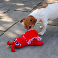 Load image into Gallery viewer, Snuffle Noodle Lobster Enrichment Toy

