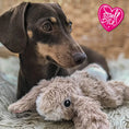 Load image into Gallery viewer, Small Bite Plush Rabbit
