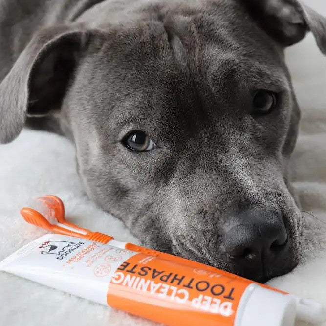Toothpaste For Dogs