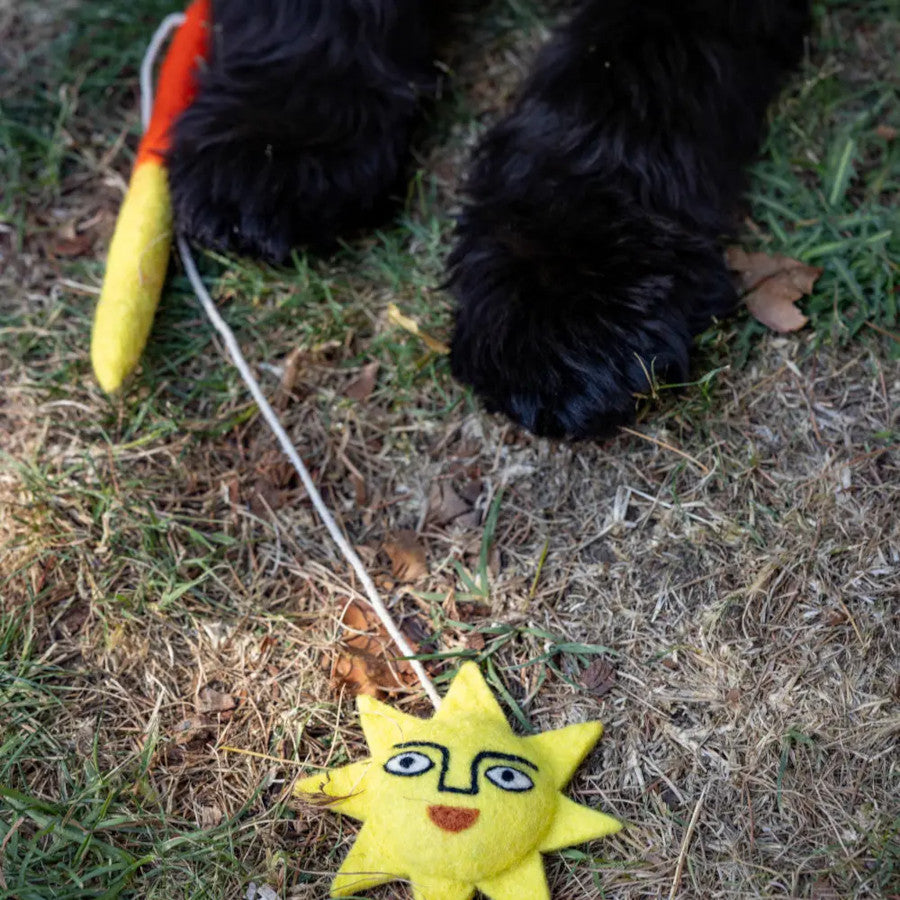 Sunny Days Teaser Cat Toy