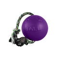 Load image into Gallery viewer, Romp N Roll Purple
