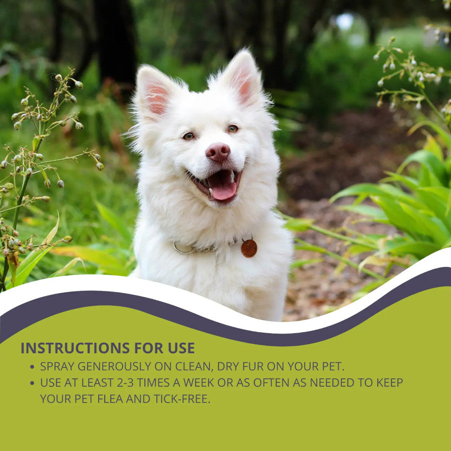 Tick & Flea Spray For Dogs & Cats