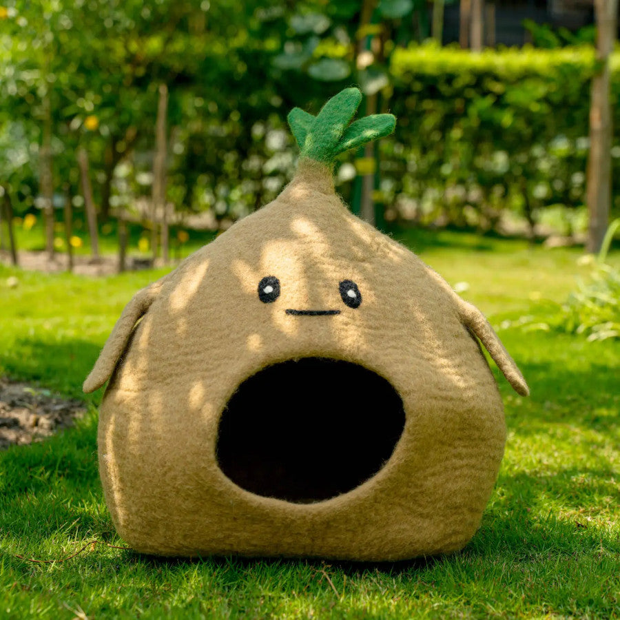 Turnip Cat Cave