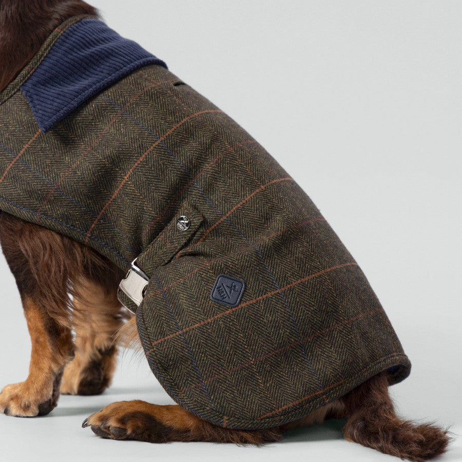 Hackett X Hugo Hudson Tweed Dog Jacket