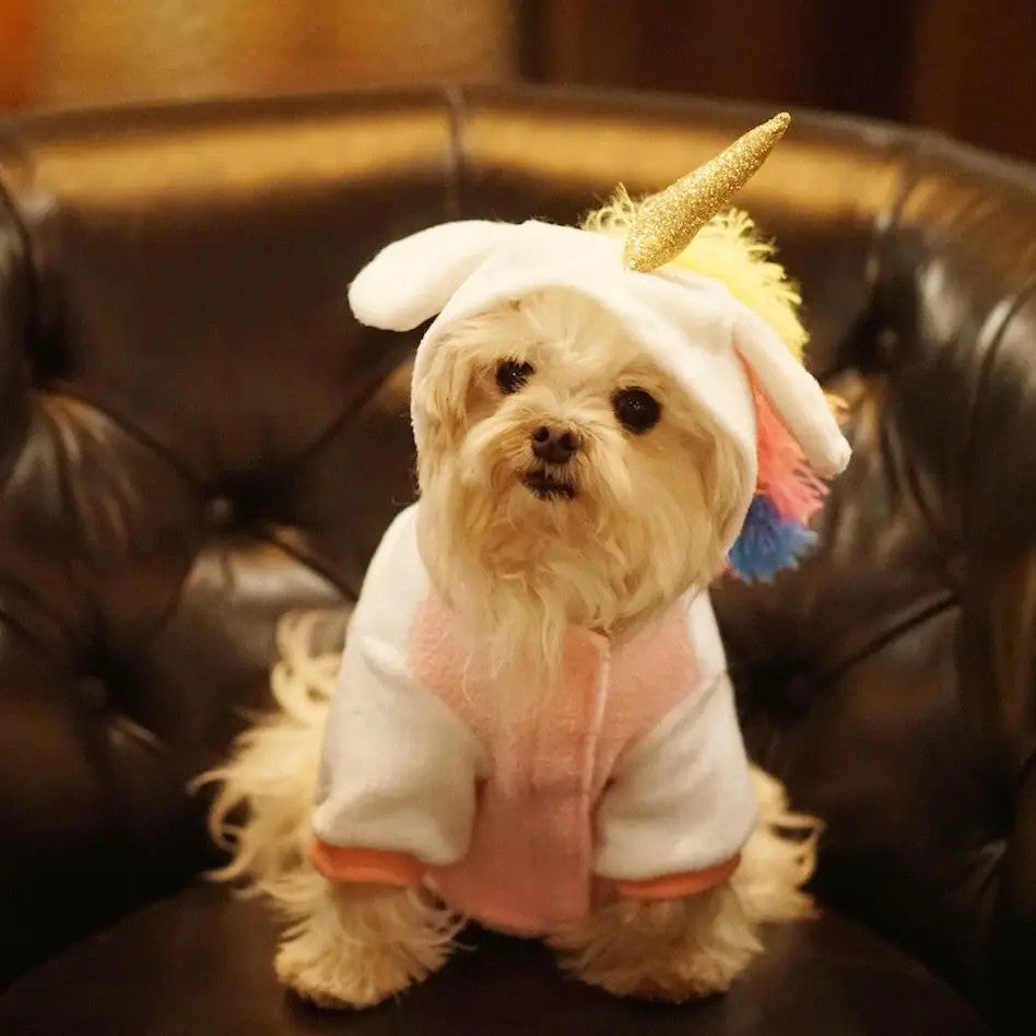 Unicorn Dog Hoodie