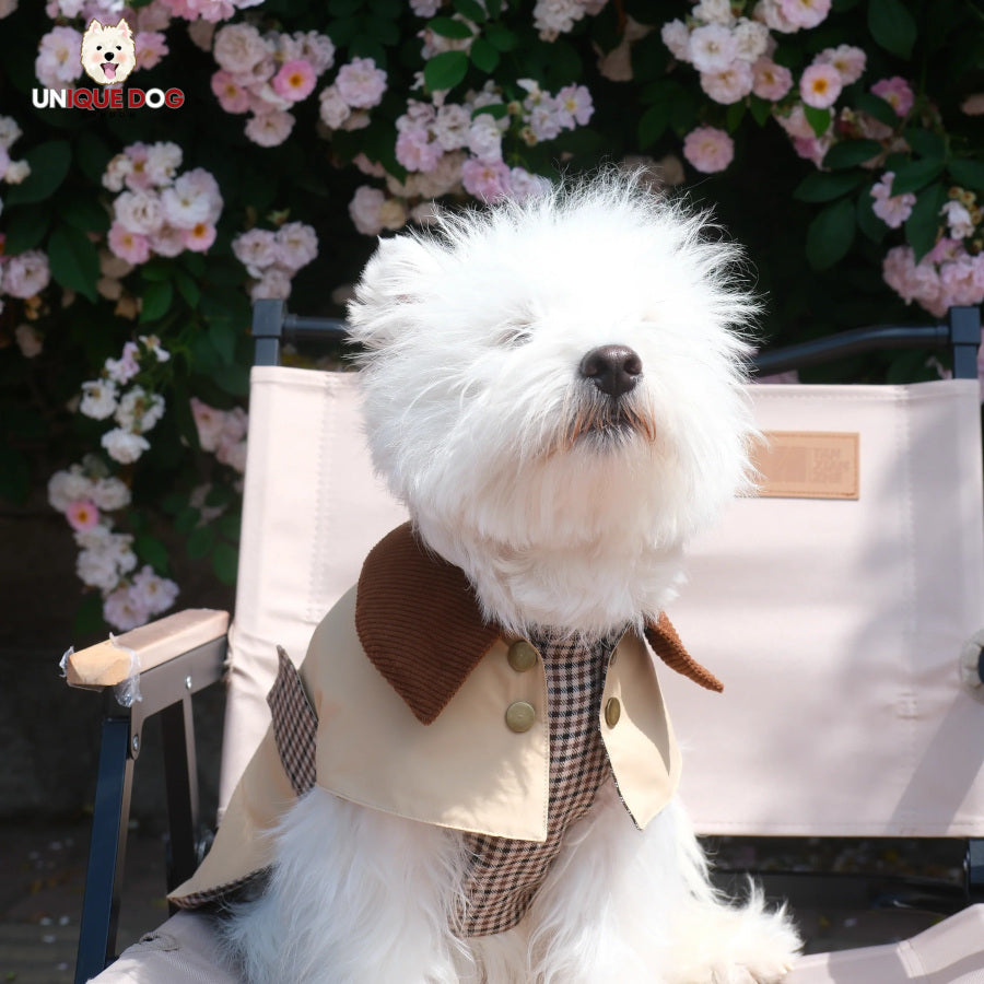 The Barrister Coat