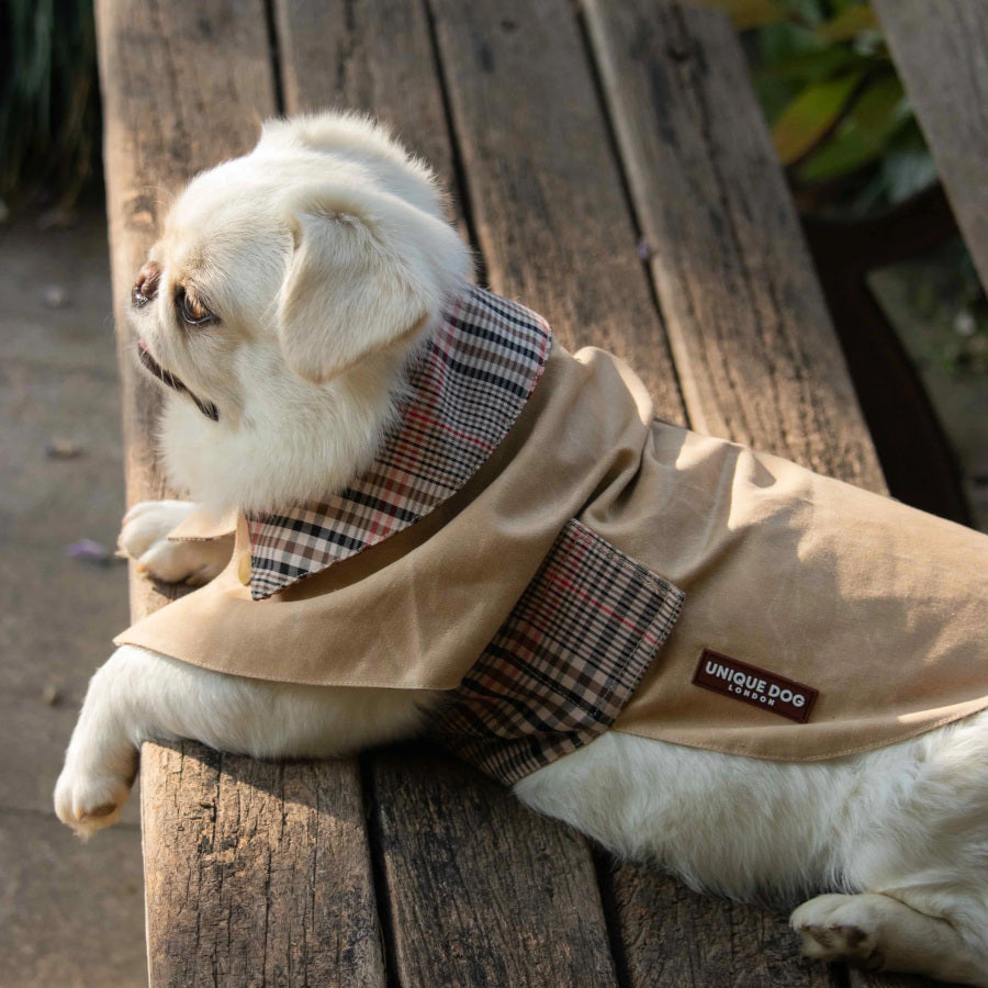 The Regent Coat